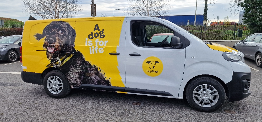 Vehicle Signage and Graphics